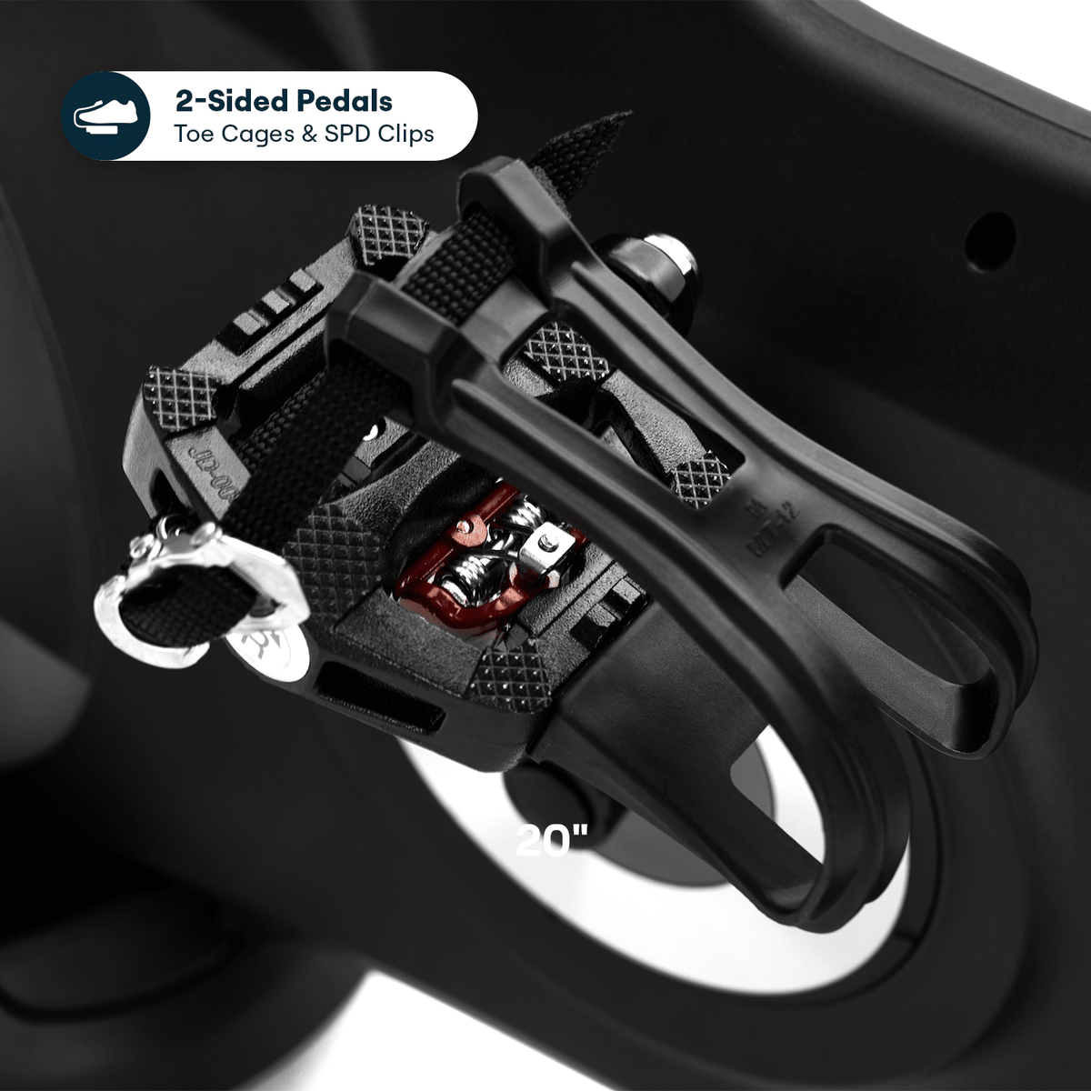 Echelon EX-8s Connect Bike – 24" HD Touchscreen